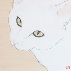 猫　-光輝-